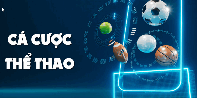 Thể Thao 79KING - Tổng Hợp Kết Quả Và Lịch Thi Đấu 2026 6 Theo dõi sát sao mọi thông tin, thay đổi để đặt cược hợp lý